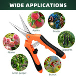 Load image into Gallery viewer, 3-Pack Garden Pruning Shears Set – Stainless Steel Gardening Scissors, Clippers & Snips for Plants and Flowers